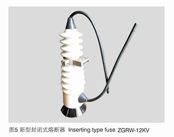 Enclosed Outdoor High-Voltage Fuse 2